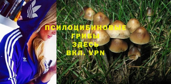 мдма Бородино